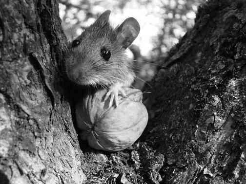 Фотовиставка Сергія Палька
