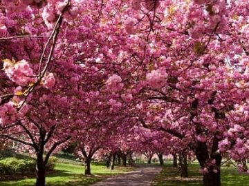 Погода в Луцьку та Волинській області на четвер, 23 квітня