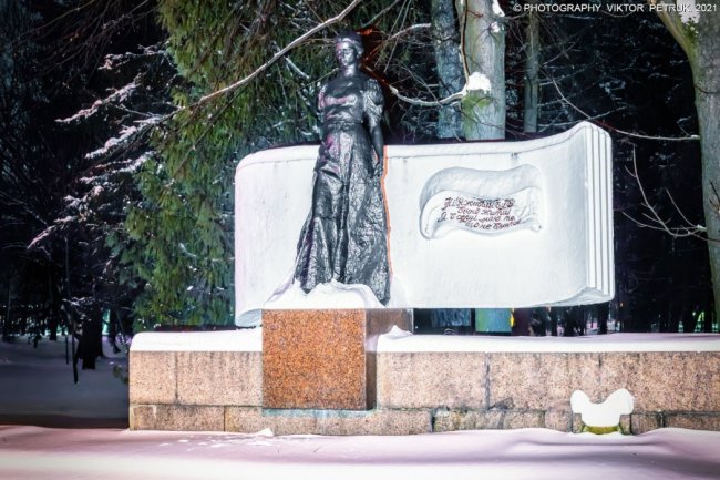 Зимова казка: опублікували неймовірні світлини вечірнього парку Луцька. ФОТО