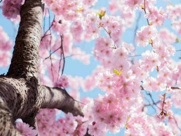 Погода у Луцьку на завтра, 30 квітня