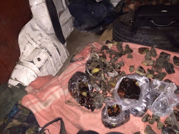 У сусідній області СБУ вилучила сто п’ятнадцять кілограмів бурштину. ФОТО. ВІДЕО