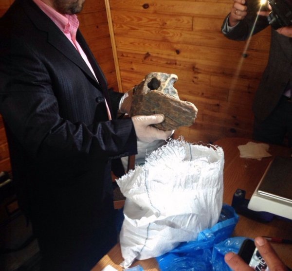 У сусідній області СБУ вилучила сто п’ятнадцять кілограмів бурштину. ФОТО. ВІДЕО