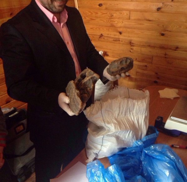 У сусідній області СБУ вилучила сто п’ятнадцять кілограмів бурштину. ФОТО. ВІДЕО