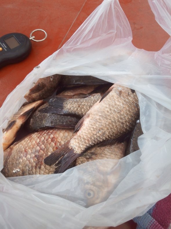 У Луцьку виявили чоловіка, який ловив рибу забороненим знаряддям