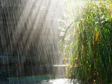 Погода в Луцьку та Волинській області на вихідні, 28 і 29 липня