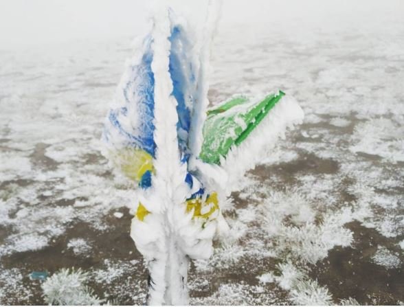 В Карпатах випав перший сніг. ФОТО