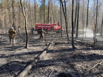 «Дайте лісівникам можливість зустріти свята з родиною», – Кватирко звернувся до волинян через постійні пожежі