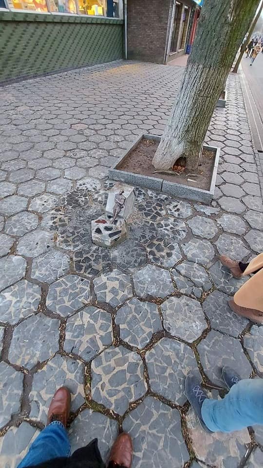 У Луцьку поселилися два нові кликуни. ФОТО