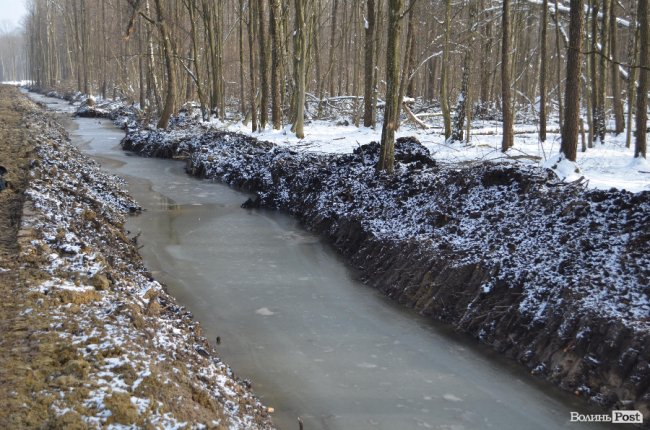 Лісівники показали, як підкорюють волинські джунглі. ФОТО