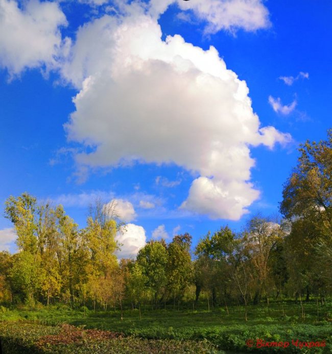 Жовтень в Луцьку на фото Віктора Чухрая
