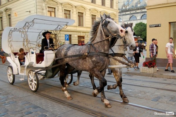 Як у Львові вболівали за Україну в матчі з Францією. ФОТО
