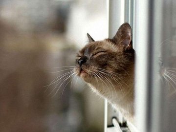 Погода в Луцьку та Волинській області на вівторок, 17 грудня