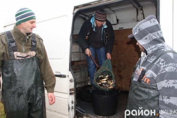 У волинське озеро випустили коропів