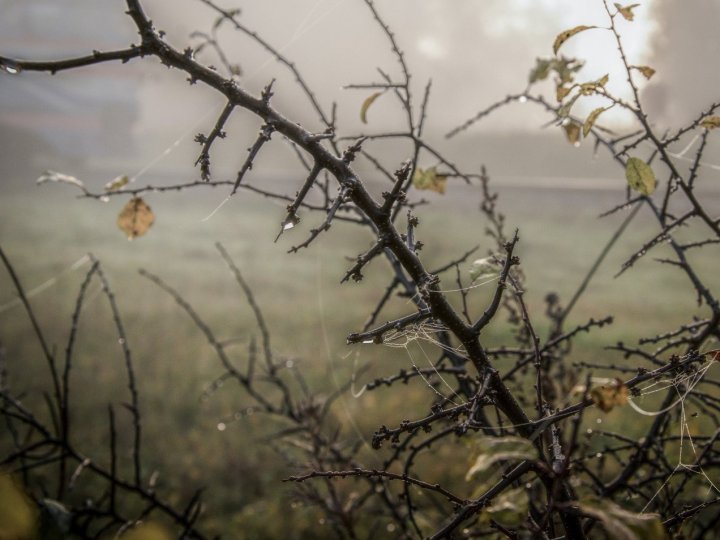 Якою буде на Волині погода на початку листопада