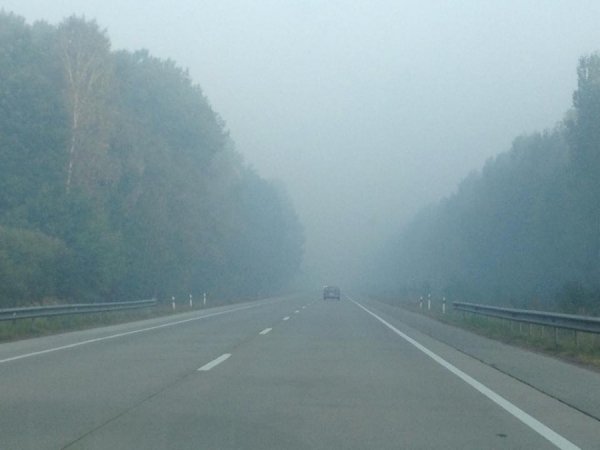 Через туман на трасі Київ-Ковель частково обмежено рух транспорту. ФОТО