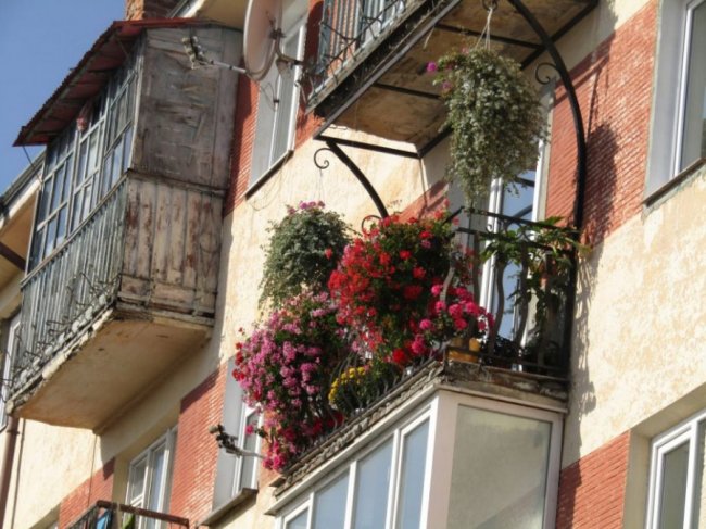 Краса золотої осені у місті на Волині. ФОТО