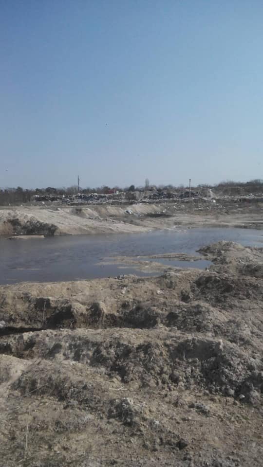 Гори целофану, отруйний фільтрат та мертві птахи: жахіття сміттєзвалища у Брищі