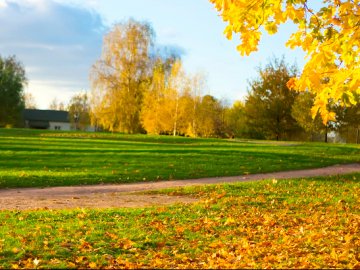 16 жовтня – яке сьогодні свято і чому в цей день не можна займатись хатніми справами