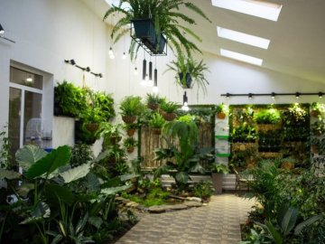 Колекція бонсаїв, рослини-хижаки і фітокартини: як у школі на Волині створили унікальний зимовий сад. ФОТО