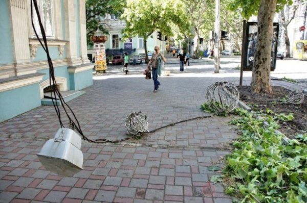 Одеса після урагану: повалені дерева та закриті пляжі. ФОТО