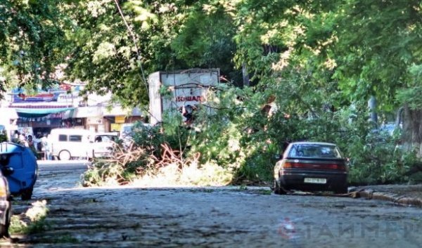 Одеса після урагану: повалені дерева та закриті пляжі. ФОТО