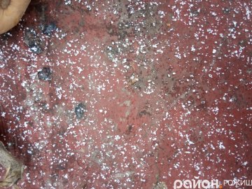 На Волині випав перший сніг