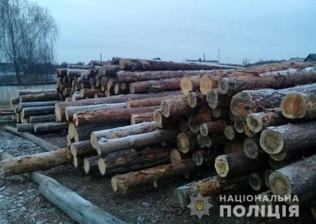 На Волині викрили крадія лісу 