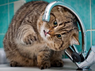 Через аварію на мережах декілька вулиць у Луцьку залишаться без води