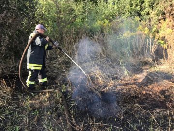 На Волині горить торф'яник: працюють пожежники. ФОТО