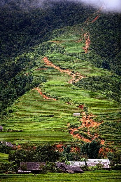 Червона річка