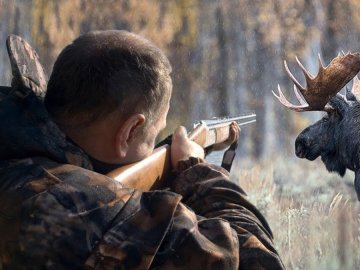 Судитимуть двох волинян, які застрелили лося у національному парку