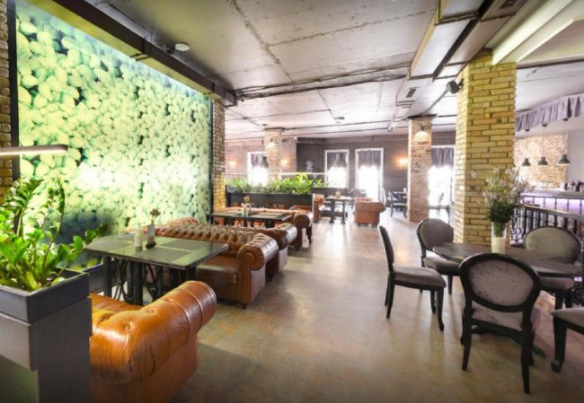 Луцьк (не)дружелюбний: у яких закладах можна посидіти з домашніми улюбленцями