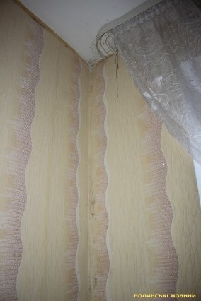 Грибок і тріщини: лучани вимагають відремонтувати будинок
