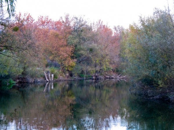 Фото: Сергій Ковальчук