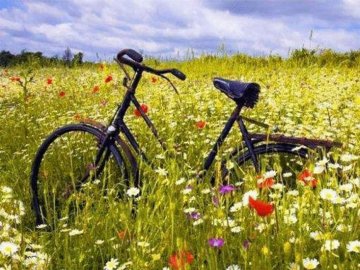 Погода на завтра, 18 червня, у Луцьку