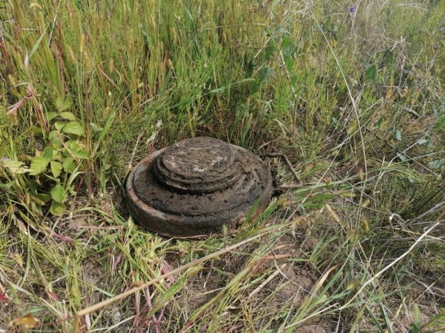 На Волині діти знайшли більше 20 боєприпасів часів війни