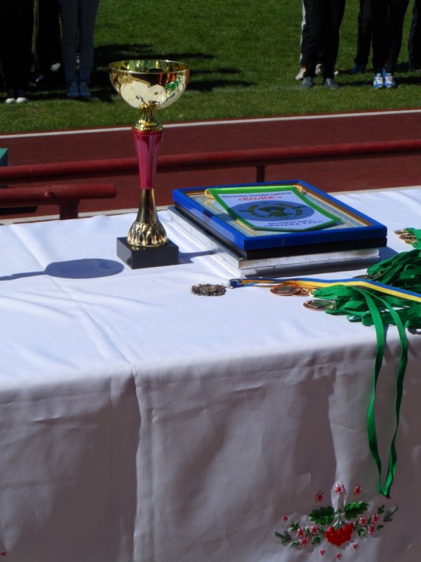 Сільська Олімпіада на Волині. ФОТО