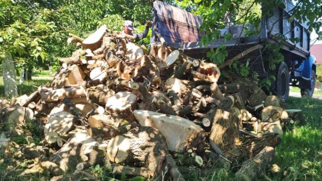 Малозабезпечені та родини військових у Луцьку почали отримувати безплатні дрова