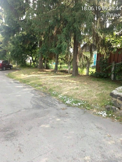 Луцькі муніципали змусили нечупар скосити траву