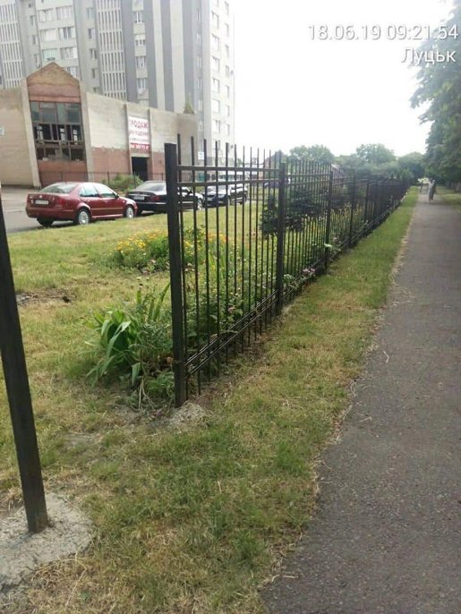 Луцькі муніципали змусили нечупар скосити траву