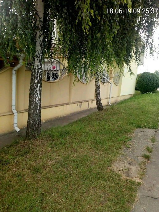 Луцькі муніципали змусили нечупар скосити траву