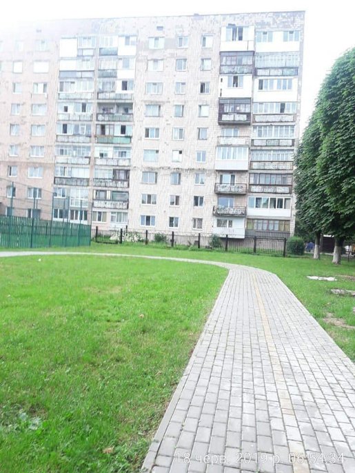 Луцькі муніципали змусили нечупар скосити траву