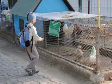 Щоб прогодувати тварин, в Луцький зоопарк змусять ходити школярів?