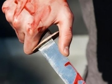 Волинянина засудили на 8,5 роки за вбивство брата