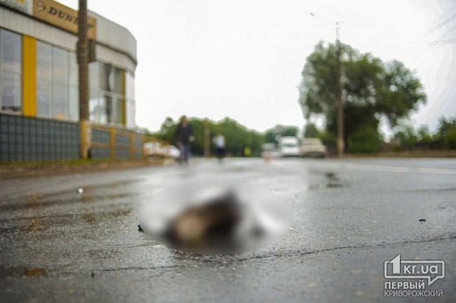 Жахлива аварія у Кривому Розі: жінку відкинуло у вітрину магазину. ФОТО 18+