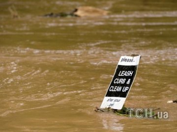 Злива в Грузії: затоплені будинки, вбита худоба, знищений урожай. ФОТО