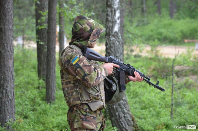 Війна у лісах Волині: підготовка загонів тероборони