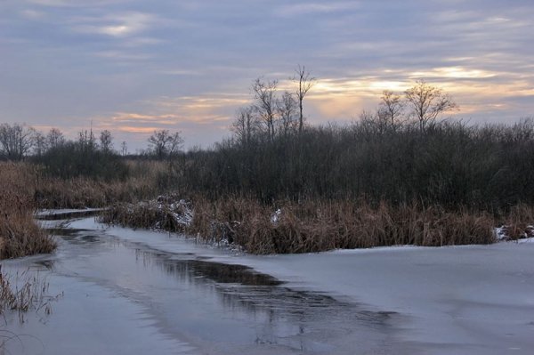 Красиві фото зими у волинському Поліссі 