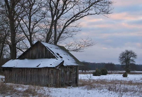 Красиві фото зими у волинському Поліссі 