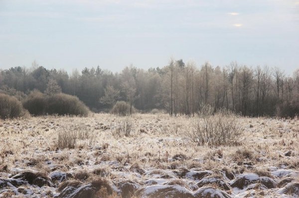 Красиві фото зими у волинському Поліссі 